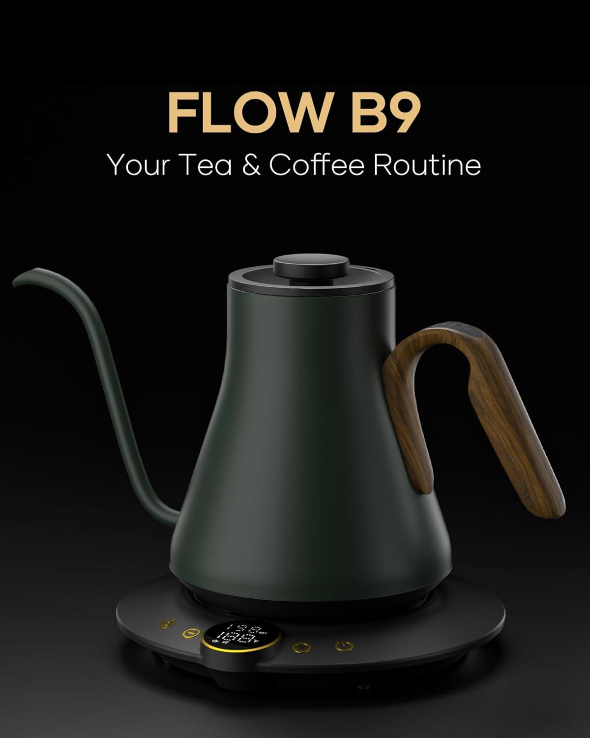 image:imageCocinare Gooseneck Electric Kettle 1F Precise Temperature Control 1500W Fast Heating Pour Over Coffee amp Tea Kettle with Brew Timer amp Keep Warm Stainless Steel 09L Soulages BlackDelacroix Green